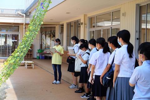 みどり野幼稚園の園庭をご案内します！