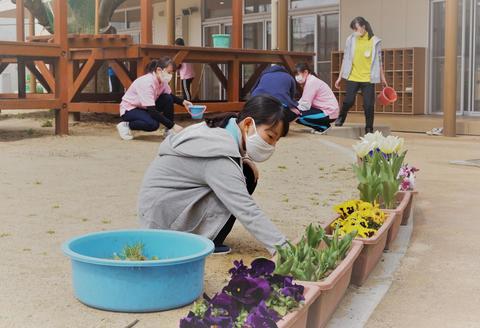 雑草を抜いて植物の手入れ