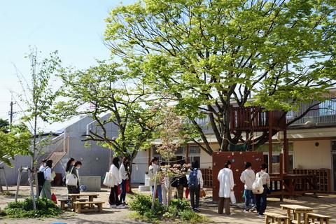 みどり豊かな園庭を見学