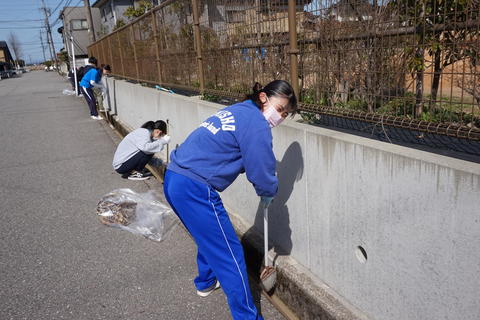 側溝の掃除