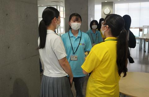 学生生活について、いろいろ先輩に聞いてみよう