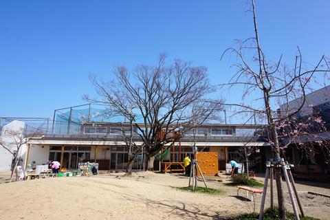 新入園児の元気な声が聞こえてくるのも間近です