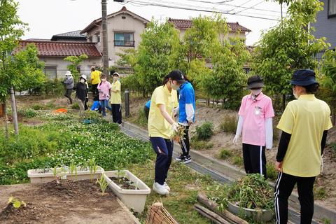 実習生同士で協力し合って園庭の環境整備