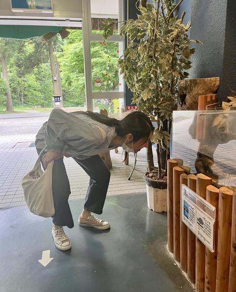 何がいるのかな？