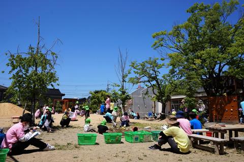 すがすがしい晴天の下、砂や水にふれて遊ぶ3歳児の姿