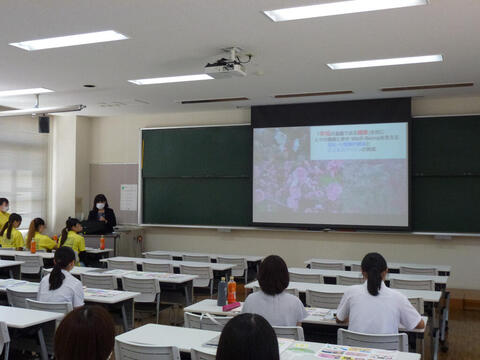 P1110613.JPG