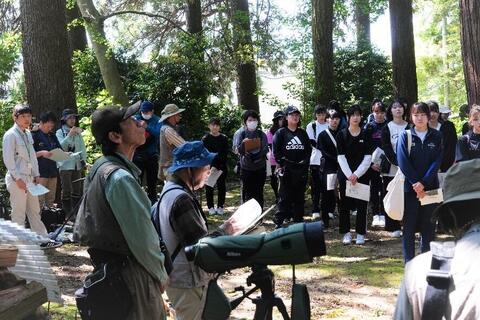 野鳥の鳴き声が響き渡ります
