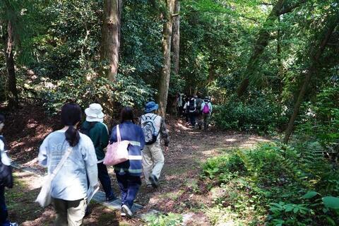 班ごとに爽やかな新緑の中を散策していきます
