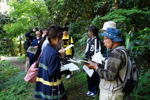 図鑑や鳴き声等から野鳥の特徴を確認します