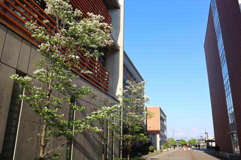 すがすがしさを感じる新緑の季節へ