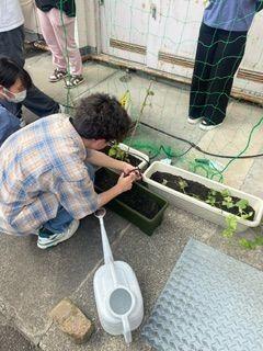 植え込み①.jpg