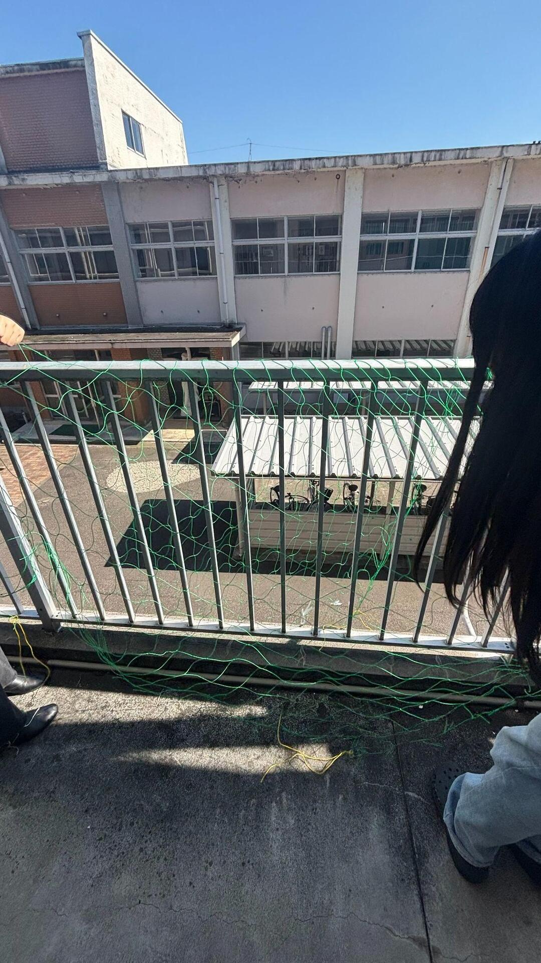 グリーンカーテン.jpg