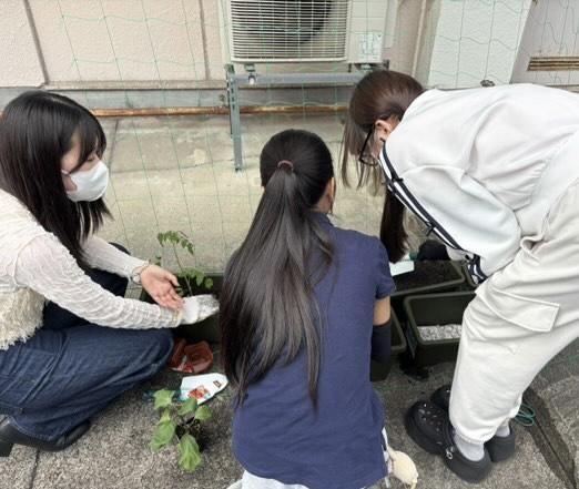 植え込み③.jpg
