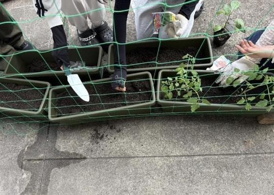 植え込み②.jpg