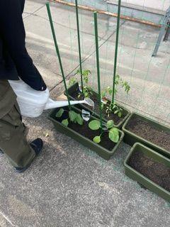 植え込み④.jpg